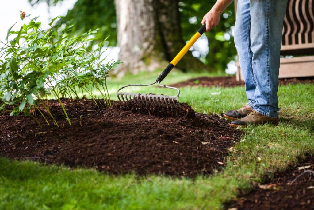 Image for Service Day